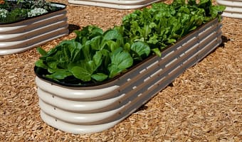 Galvanized Raised Garden Beds for Vegetables Metal Planter Box Steel Kit 7x3x1ft)