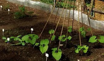 MONDEZON Raised Garden Bed Galvanized Planter