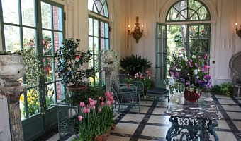 The Top 5 Planter Box types for Growing Indoors