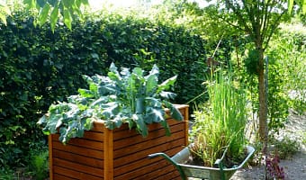 vidaXL Rectangular Raised Bed