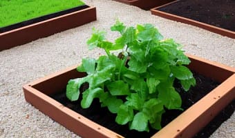 BIRASIL Outdoor Raised Garden Bed