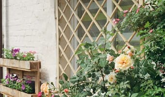 Safstar Raised Garden Bed with Arch Trellis