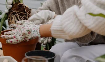 The BIVODA Raised Garden Bed Outdoor: