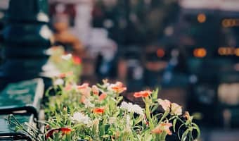 Exploring the Beauty and Durability of GZGNEEVL Corten Steel Planter
